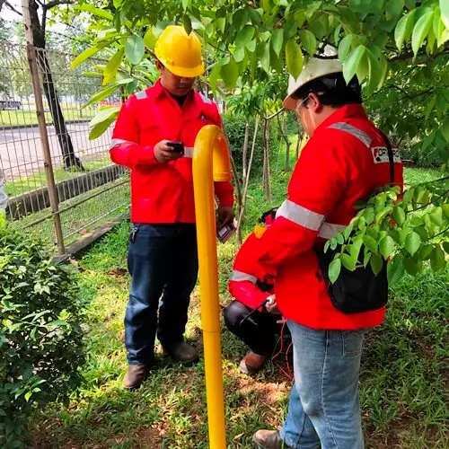 commissioning a survey 2